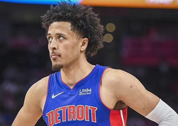 表现充满期 表现充满期