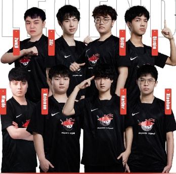 体育组织的 体育组织的