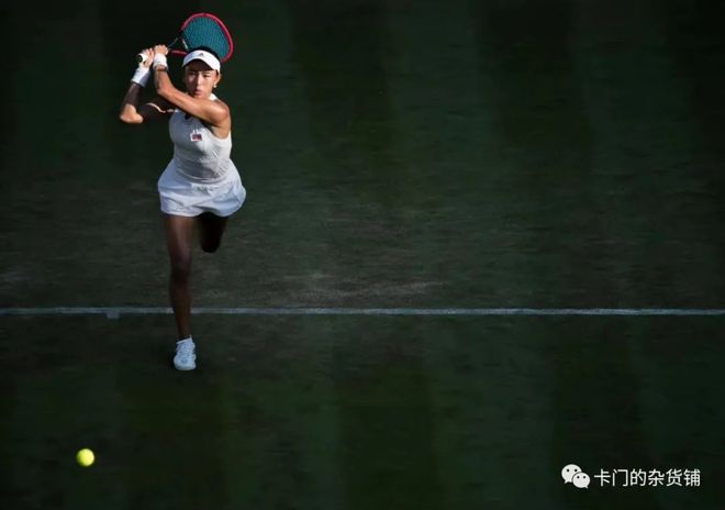 生态的深度 生态的深度